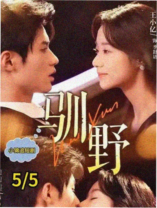 星际穿越 影片信息卡